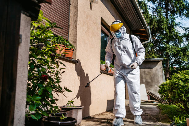 Best Affordable Pest Control Services  in Kenai, AK